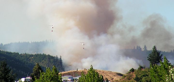 Incendio Forestal / San Rosendo