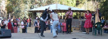 Fiesta Vendimia 2008