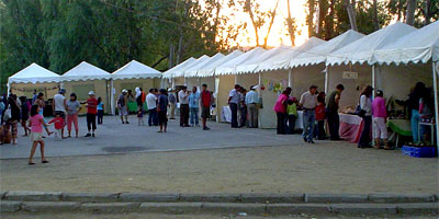 Laja, Feria Agroartesanal