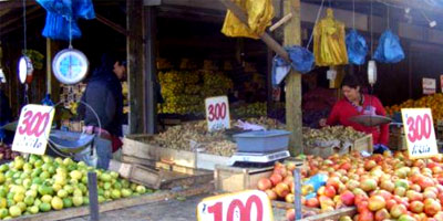 Feria libre de Laja se adjudica proyecto de mejoramiento