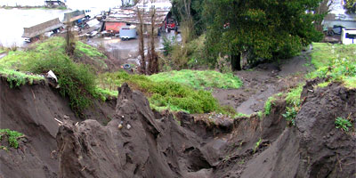 Lajino.cl - Noticias Laja