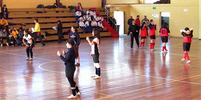 Lajino.cl - Provincial de Handball Damas y Varones en Laja