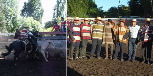 Lajino.cl - Laja, Rodeo en sector La Palma