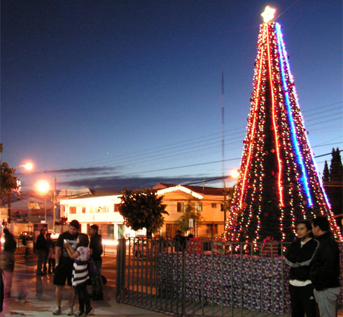 Lajino.cl - Laja, Arbol de Navidad