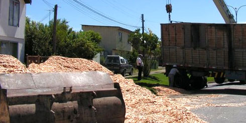 Lajino.cl - Acoplado cargado con chips se volcó en intersección de Avenidas Los Ríos y Arturo Prat