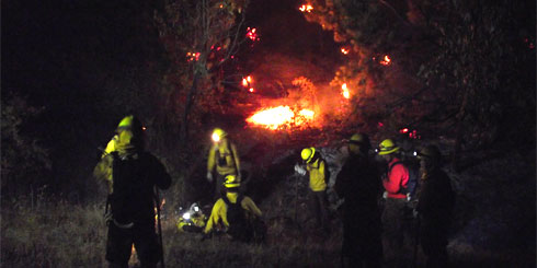 LAJINO.CL es LAJA en Internet // Incendio Forestal en sector rural de Pantanillo en la comuna de Laja