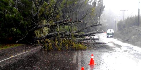 LAJINO.CL ES LAJA EN INTERNET // Temporal, lluvia, viento, voladura de techos, caida de arboles // Laja / San Rosendo