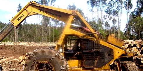 LAJINO.CL ES LAJA EN INTERNET // Hombre fallece aprisionado mientras realizaba faena forestal en sector rural de Laja