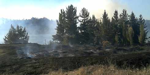 LAJINO.CL ES LAJA EN INTERNET // Incendio de pastizales puso en peligro viviendas de población Tapiacura en Laja