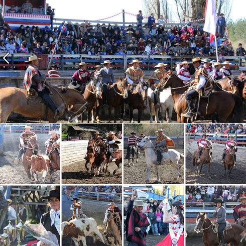 LAJINO.CL ES LAJA EN INTERNET // Rodeo Oficial Medialuna Fundo La Palma, comuna de Laja