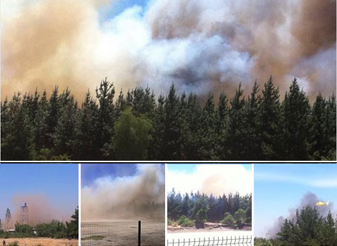 Laja: Fuerte viento dificulta las tareas de extinción de incendio en sector rural de Santa Elena