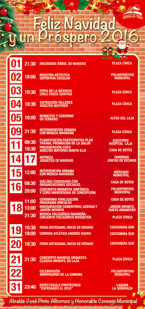 Programa Navidad 2015 / Laja