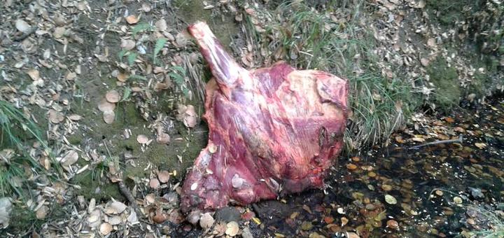 Subcomisaria de Laja / Abigeato